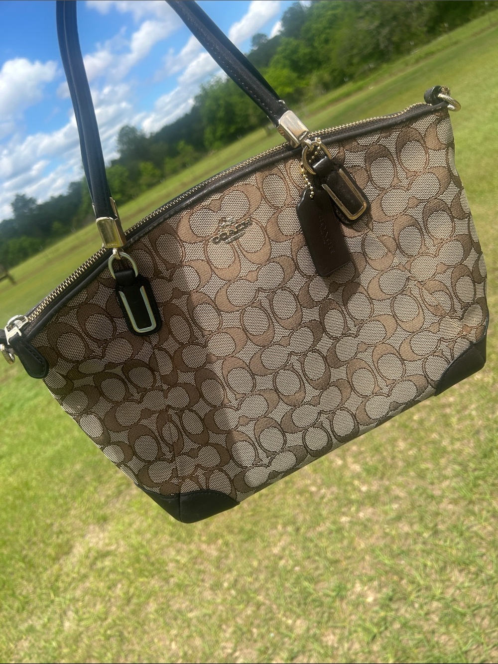 Coach Outline Small Signature Kelsey Satchel Tote